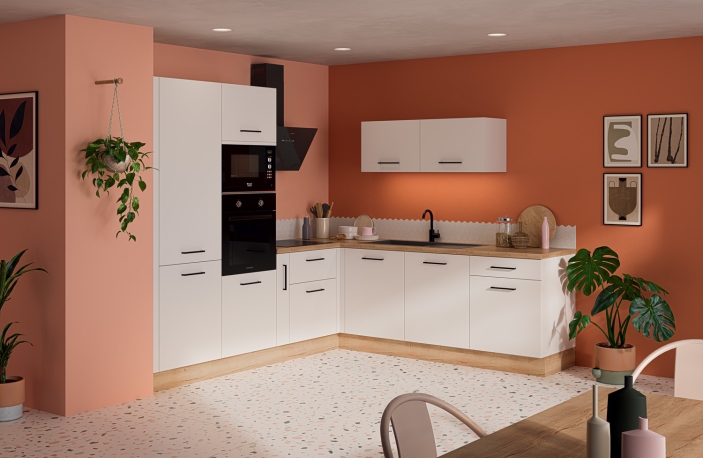 Cuisine Retro Moderne